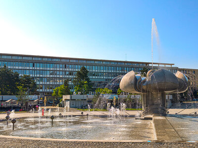 Rektorské voľno pri príležitosti Dňa boja za slobodu a demokraciu 