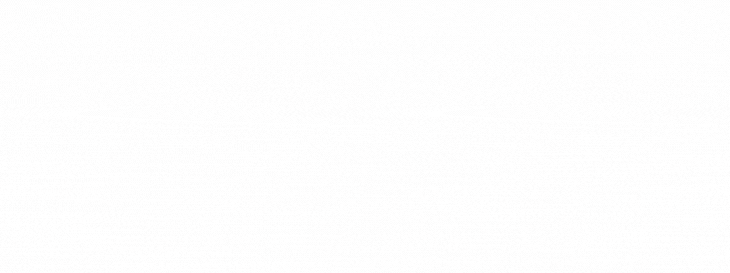 svk2025